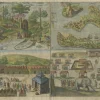 Pamono Antique Mauritius Map, 1610> Wall Decor