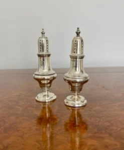 Pamono Antique Silver Salt & Pepper Pots, 1910s, Set of 2