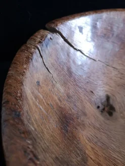New Pamono Antique Spanish Holm Oak Bowl, 1800