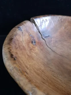 New Pamono Antique Spanish Holm Oak Bowl, 1800