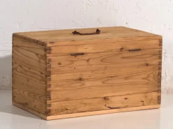 Pamono Antique Wood Chest, 1920s><noscript><img width=