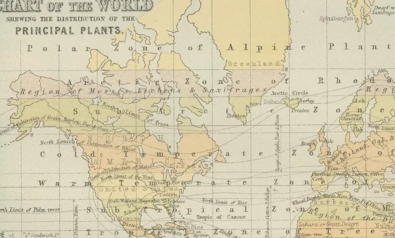Pamono Antique Zoological and Botanical Chart of the World Decorative Map, 1884> Wall Decor