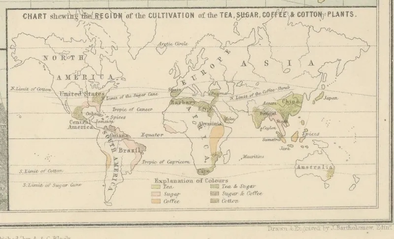 Pamono Antique Zoological and Botanical Chart of the World Decorative Map, 1884> Wall Decor