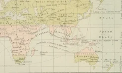 Pamono Antique Zoological and Botanical Chart of the World Decorative Map, 1884><noscript><img width=