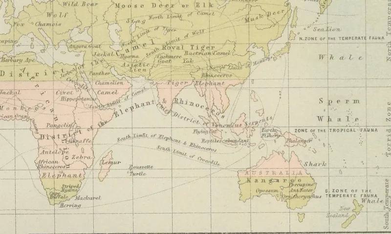 Pamono Antique Zoological and Botanical Chart of the World Decorative Map, 1884> Wall Decor