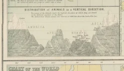 Pamono Antique Zoological and Botanical Chart of the World Decorative Map, 1884><noscript><img width=