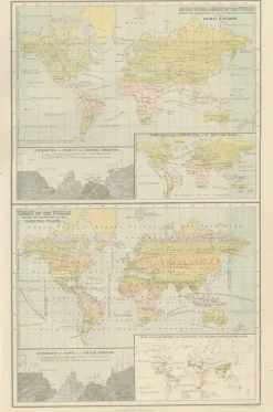 Pamono Antique Zoological and Botanical Chart of the World Decorative Map, 1884><noscript><img width=