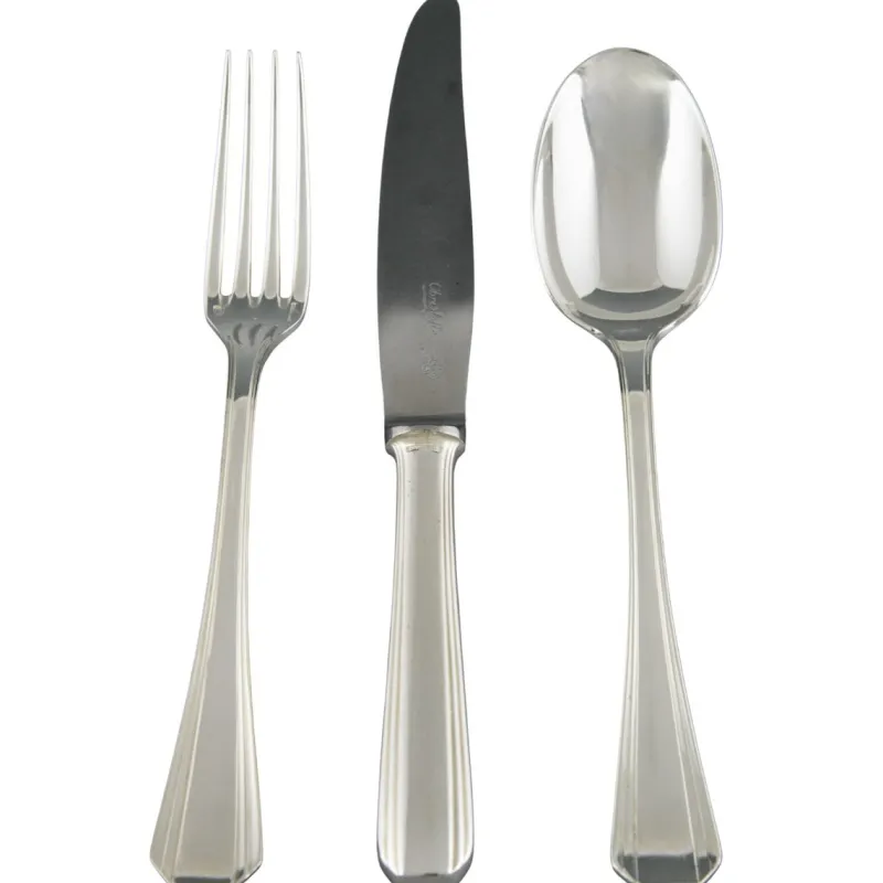 Pamono Art Deco Flatware Set by Luc Lanel for Christofle, 1936, Set of 117