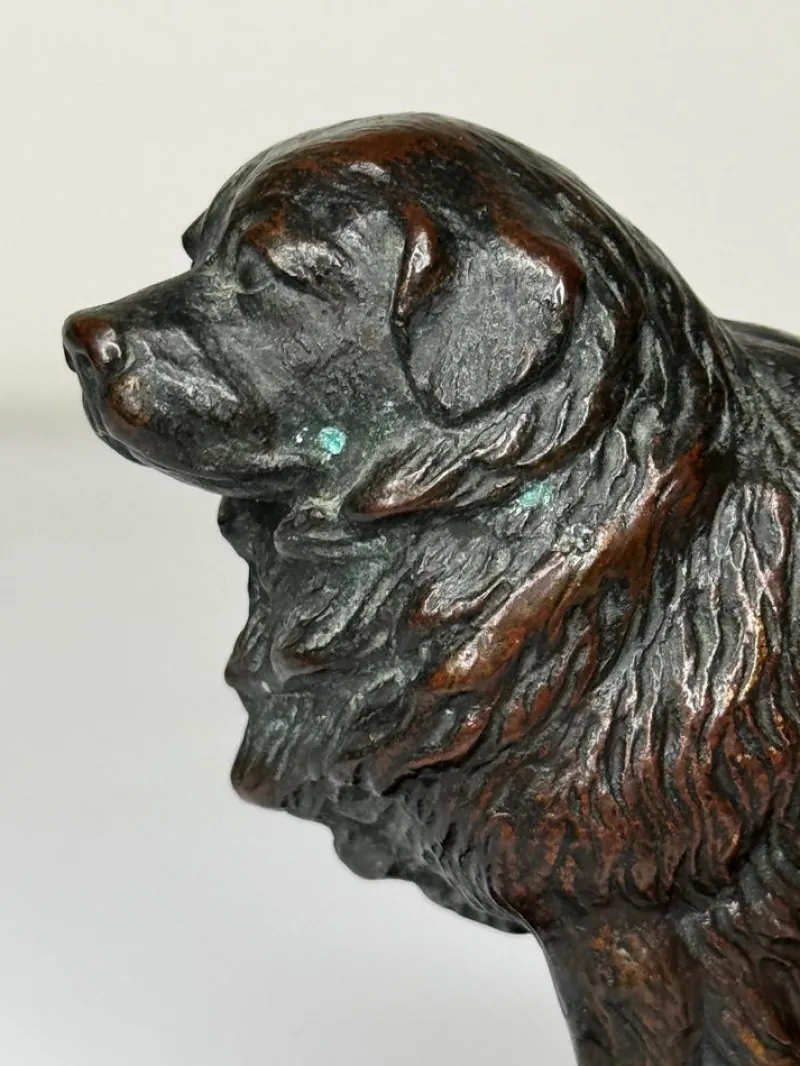 Outlet Pamono Art Deco Newfoundland Marine Rescue Dog, 1925, Bronze