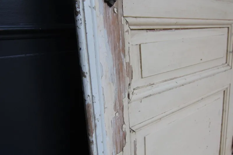 Pamono Art Nouveau Door with Etched Glass Pane, 1890s> Architectural Elements