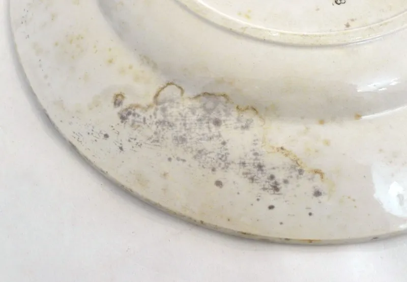 Pamono Art Nouveau Terre De Fer Plate Dish in Earthenware by Digoin Sarreguemines, 1890s