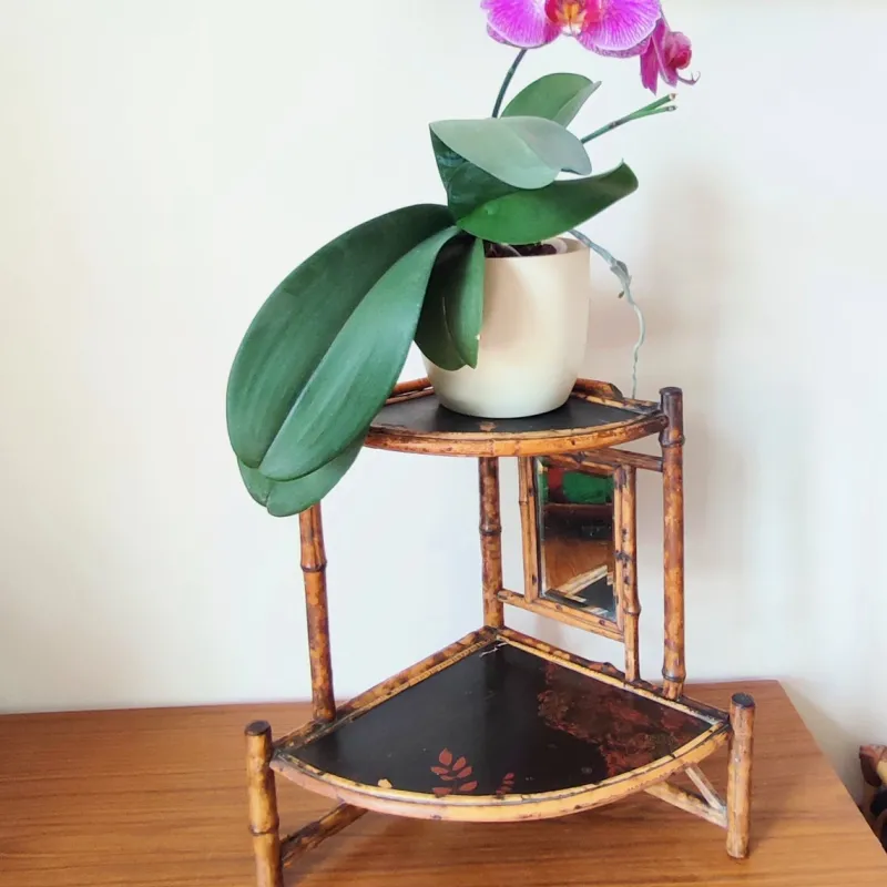 Pamono Art Nouveau Tiger Bamboo Corner Etagere with Mirror and Chinoiserie, 1890s> Shelves & Wall Units