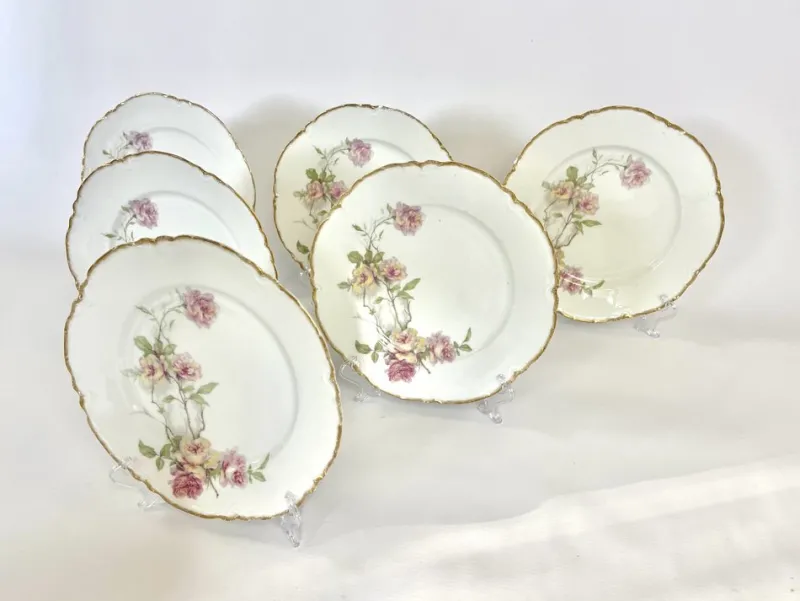 Pamono Baltimore Rose Dinner Plates from Haviland Limoges, 1888, Set of 6> Dinner Plates & Bowls