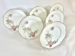 Pamono Baltimore Rose Dinner Plates from Haviland Limoges, 1888, Set of 6><noscript><img width=