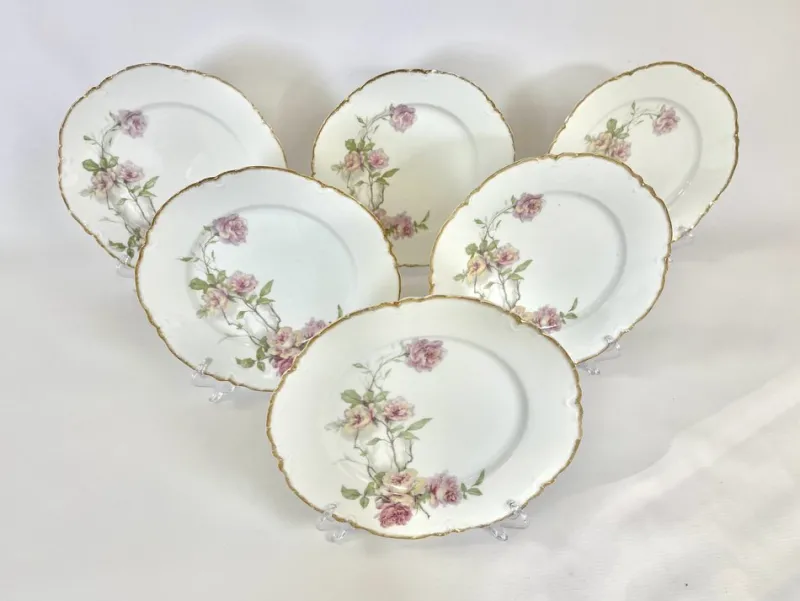 Pamono Baltimore Rose Dinner Plates from Haviland Limoges, 1888, Set of 6> Dinner Plates & Bowls