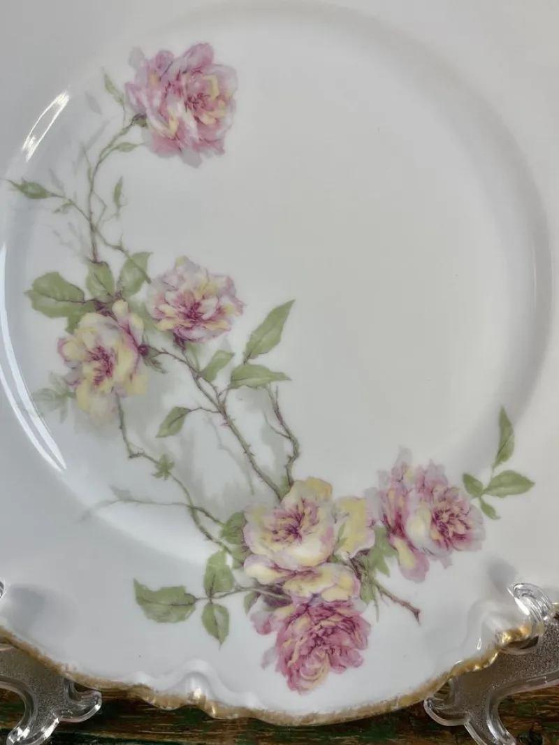 Pamono Baltimore Rose Dinner Plates from Haviland Limoges, 1888, Set of 6> Dinner Plates & Bowls