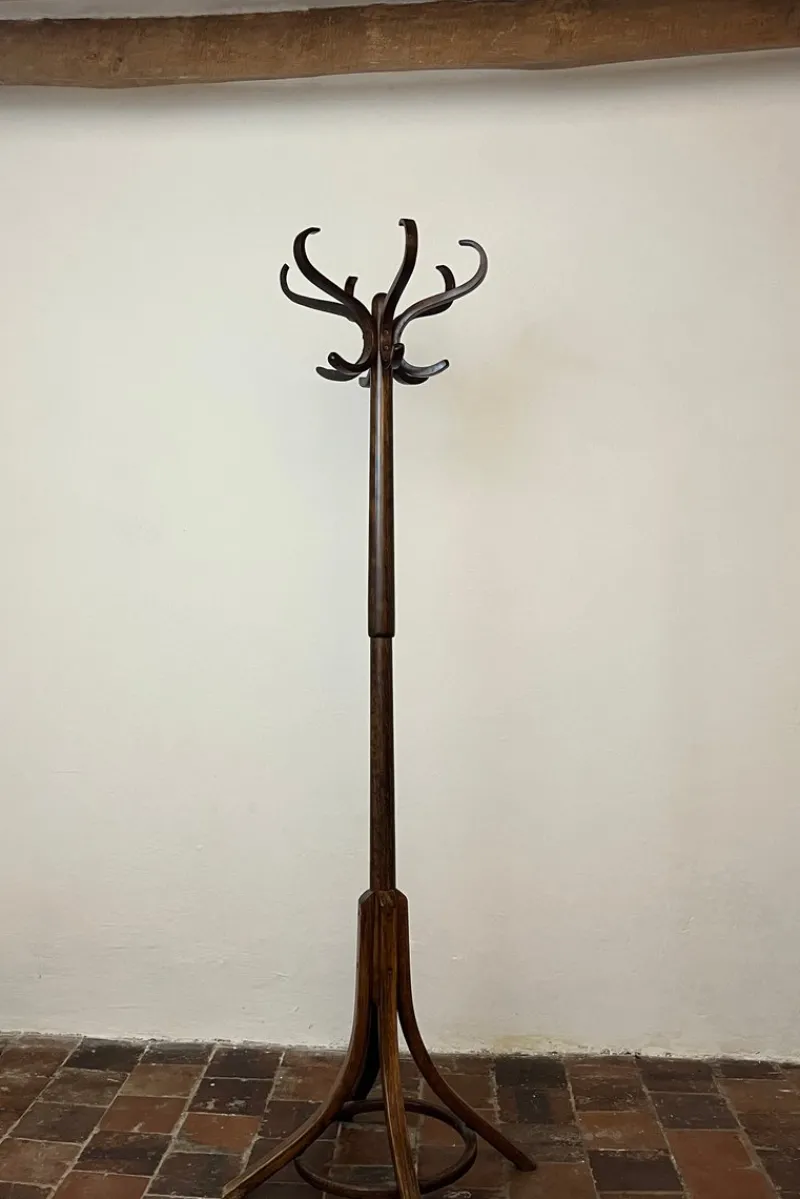 Hot Pamono Baumann Parrot Coat Rack, 1950s