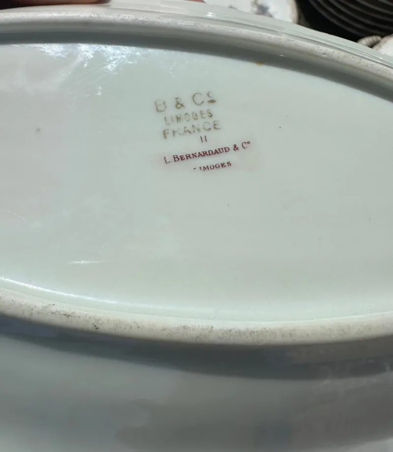 Best Pamono Bernardaud Dinner Service from Limoges, 1960s, Set of 71