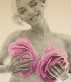 Pamono Bert Stern, Marilyn (The Last Sitting), 2012, Exhibition Poster> Posters