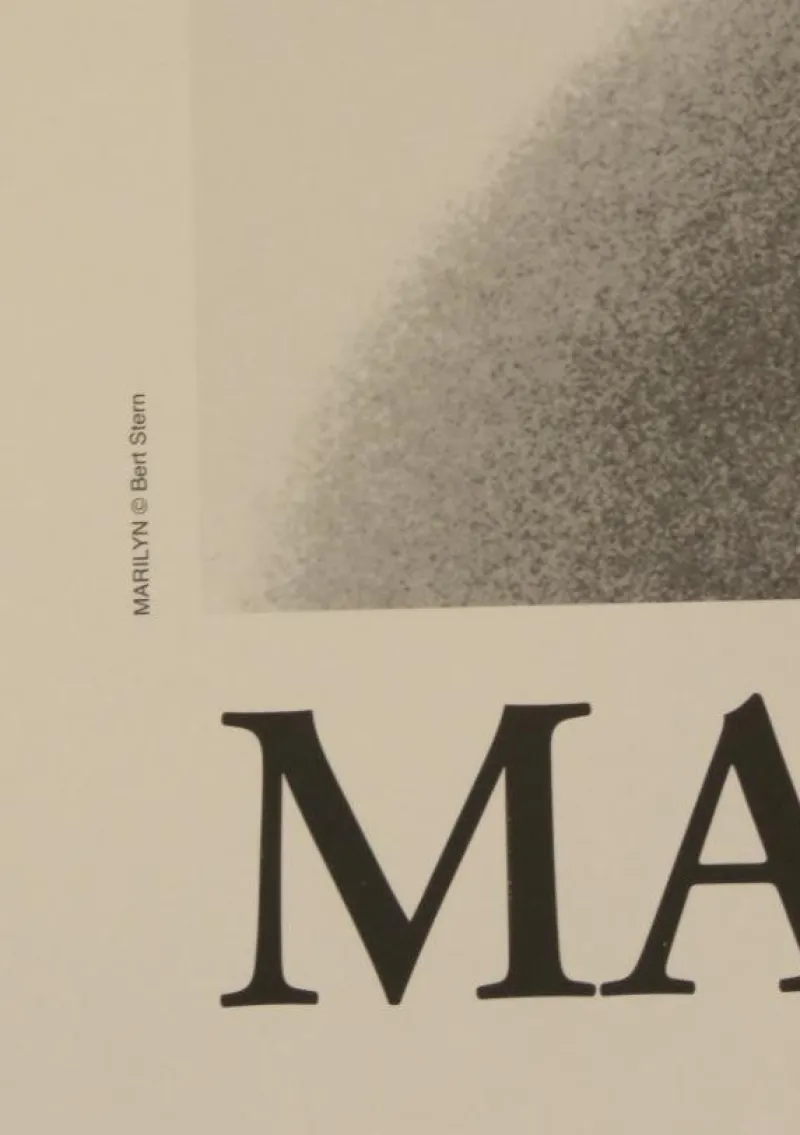 Pamono Bert Stern, Marilyn (The Last Sitting), 2012, Exhibition Poster> Posters