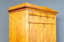 Discount Pamono Biedermeier Birch & Elm Secretary