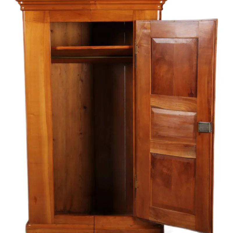 Best Pamono Biedermeier Cabinet in Cherrywood, 1830s
