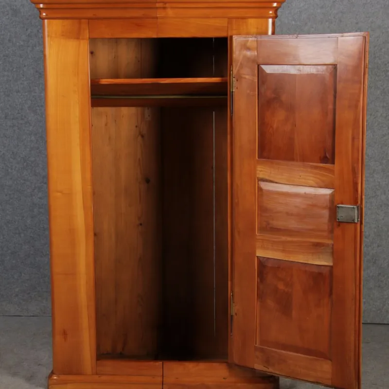 Best Pamono Biedermeier Cabinet in Cherrywood, 1830s