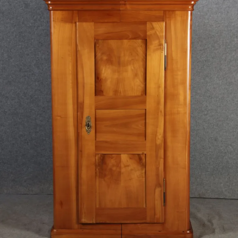 Best Pamono Biedermeier Cabinet in Cherrywood, 1830s