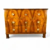 New Pamono Biedermeier Chest of Drawers, Germany, 1820s