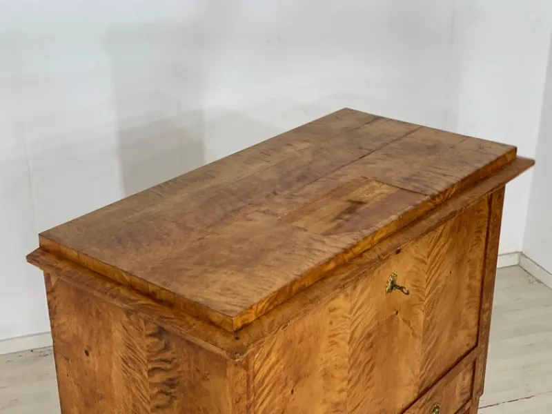 Pamono Biedermeier Secretary Cabinet, 1830s> Secretaires