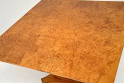 Pamono Biedermeier Swedish Birch & Ebony Coffee Table, 1840s><noscript><img width=