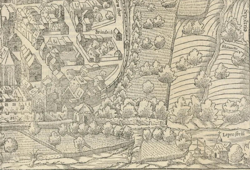 Outlet Pamono Bird's Eye View Woodcut Map of Rouffach, France, by Sebastian Münster, 1554