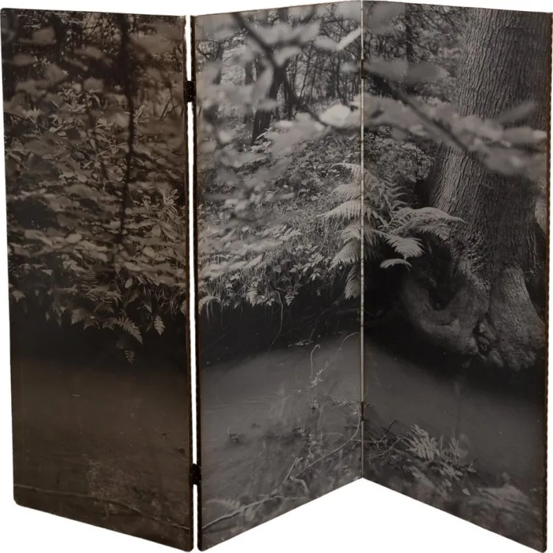 New Pamono Black and White Forest Picture Folding Screen, Belgium, 1960s