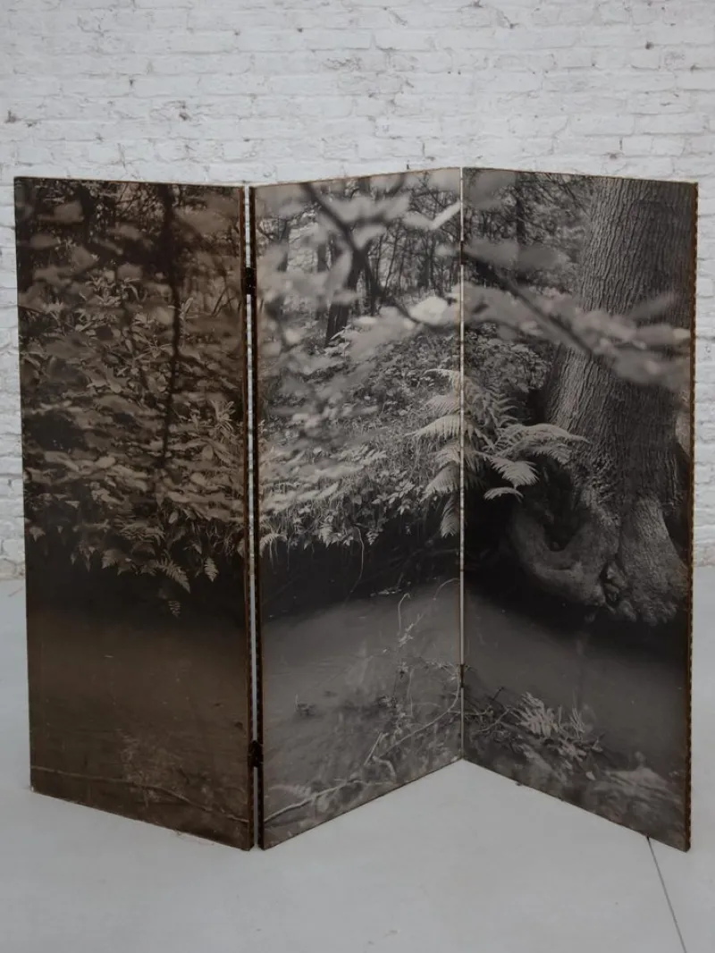 New Pamono Black and White Forest Picture Folding Screen, Belgium, 1960s