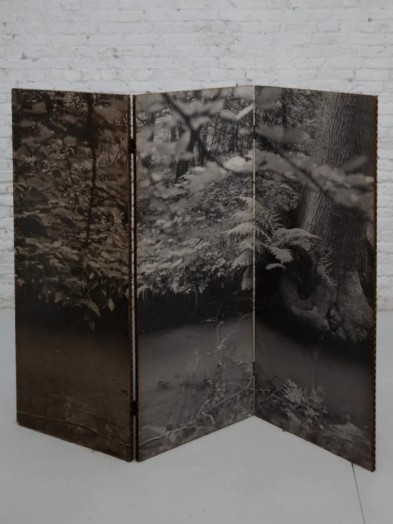 New Pamono Black and White Forest Picture Folding Screen, Belgium, 1960s