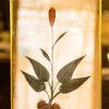 Discount Pamono Bloom Silver Mirror from Unique Mirrors