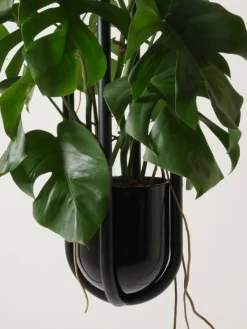 Pamono Blumenampel Object, Hanging Planter by Zascho Petkow><noscript><img width=