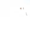 Pamono Bolonia 8, Beach Imagery, Photograph> Minimalist