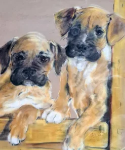 Best Pamono Boxer Puppies, Pastel on Paper, 1980s