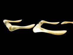 Online Pamono Brass Door Handles, 1960, Set of 4