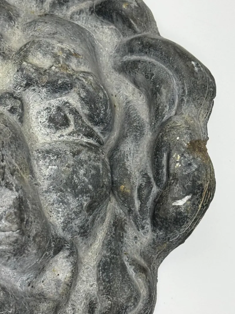 Outlet Pamono British Victorian Renaissance Revival Lion Fountain Spout Finial, 1890s
