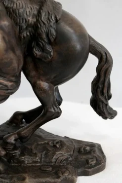 Pamono Bronze Cheval de Marly after G. Coustou, 19th Century><noscript><img width=