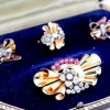 Pamono Brooch and Earrings and Ring, Set of 4> Earrings
