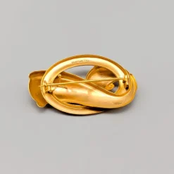 Pamono Brooch in Gold> Brooches