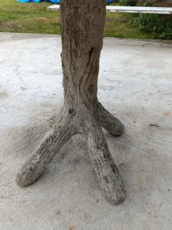 Pamono Brutalist Tree Trunk Concrete Garden Table, 1950s