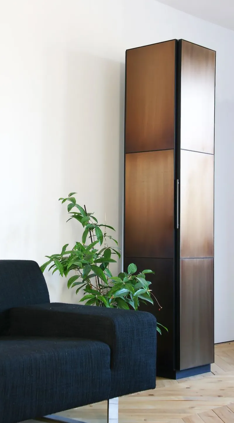 Discount Pamono Burned Tall Cabinet by Studio Luuk van Laarhoven