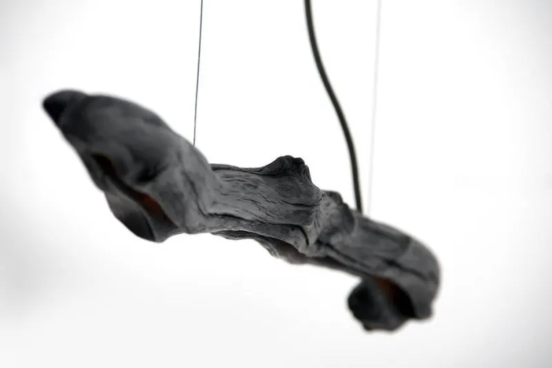 Pamono Burning Ego Light Suspension by Wim Verzantvoort> Ceiling Lights