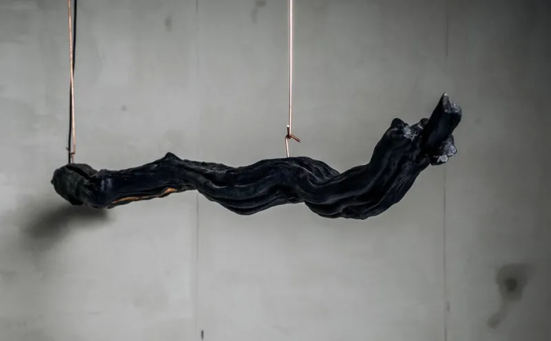 Pamono Burning Ego Light Suspension by Wim Verzantvoort> Ceiling Lights