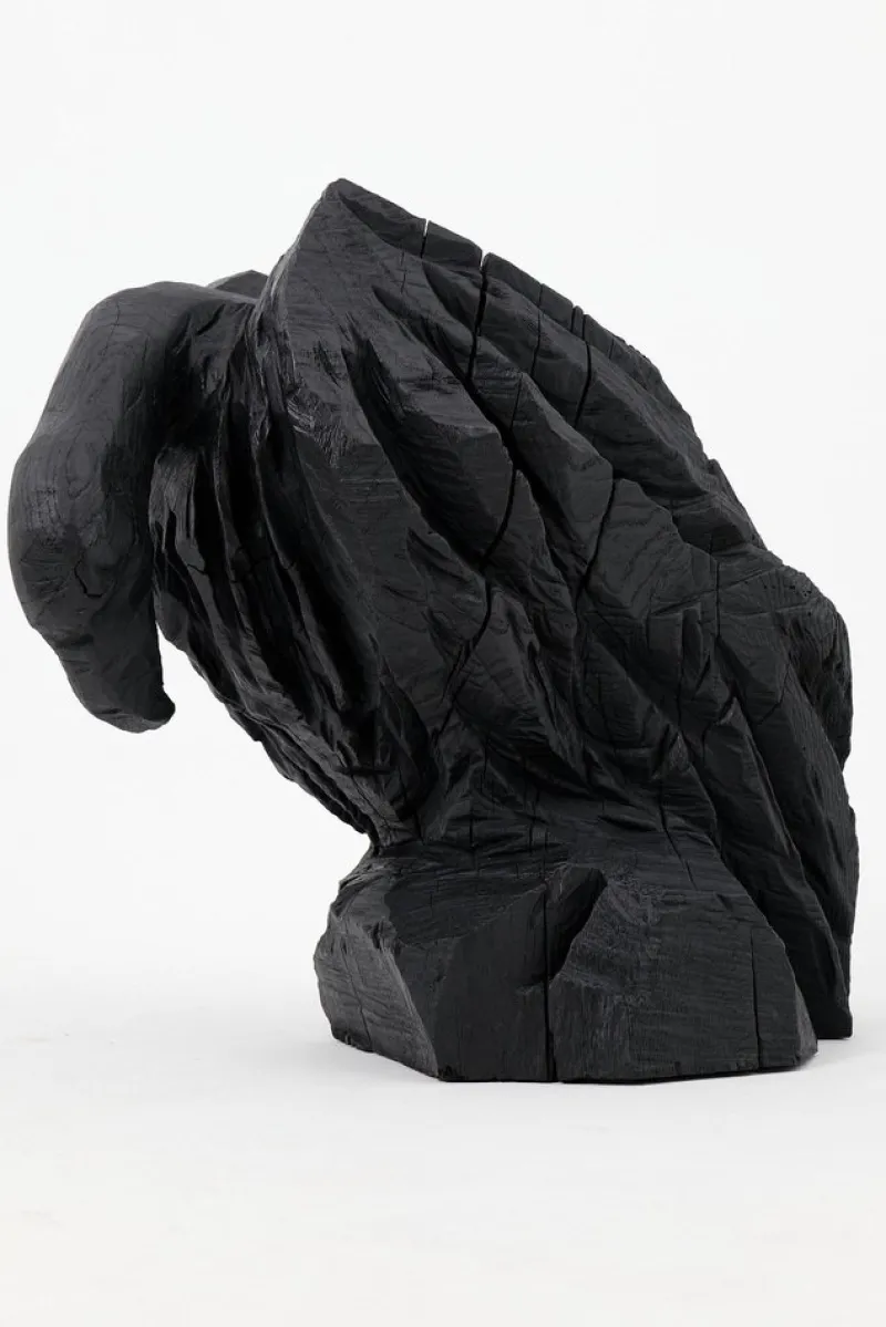 Pamono Burnt Oak Abstract Sculpture by Logniture