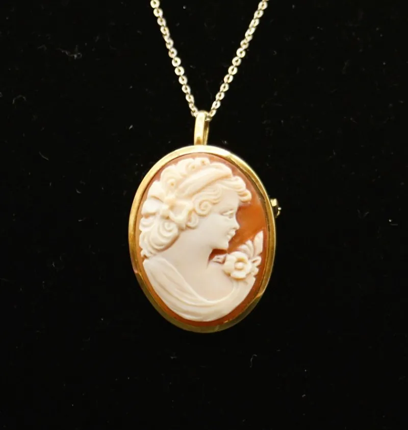 Pamono Cameo Brooch and Pendant in Shell and Gold> Brooches